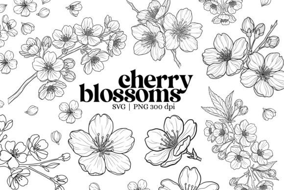 Botanical Cherry Blossom Outline Clipart: Elevating Spring Designs with Elegant Line Art