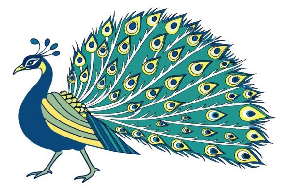 Unlocking Elegance: The Power of A Vibrant Peacock with Its Feathers Fan in Modern Design